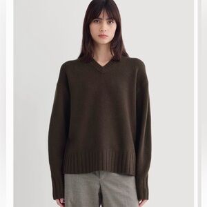 Everlane Brown V-Neck Merino Wool Sweater XS